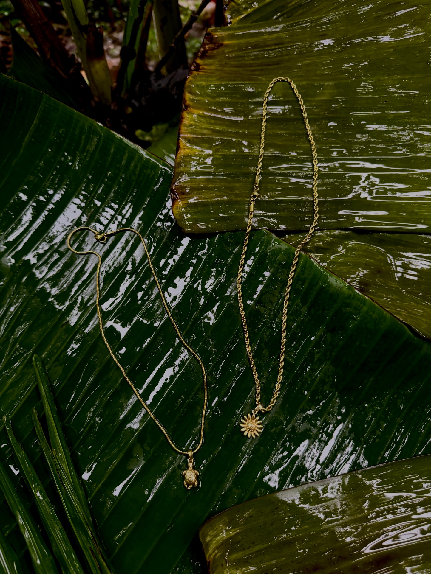 Sunflower and turtle chain combo