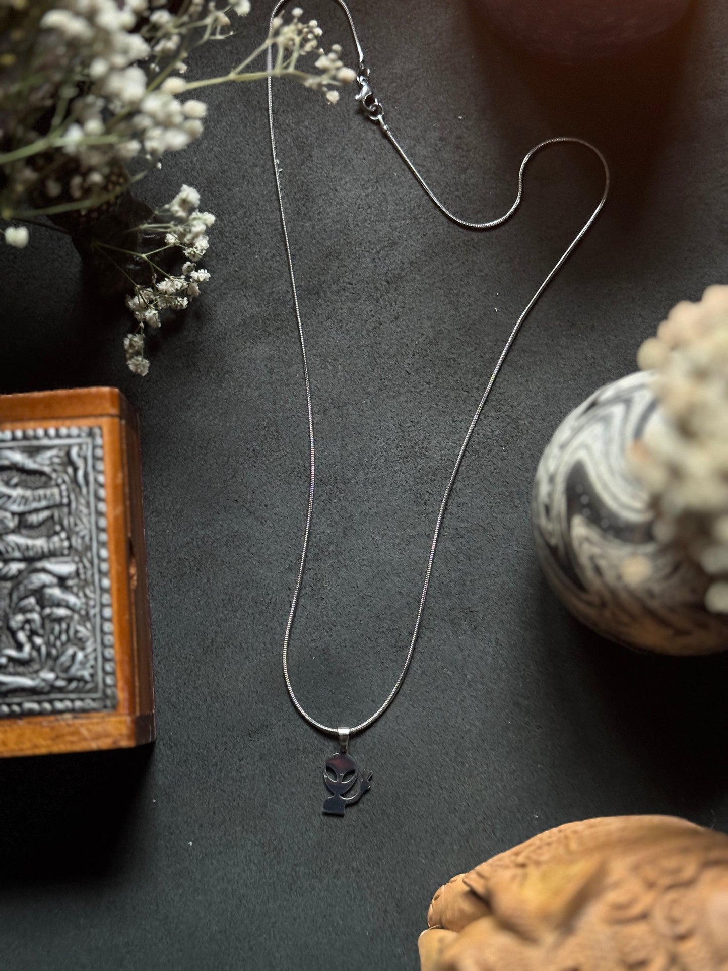 Alien stainless steel silver necklace with 55 cm stainless steel chain
