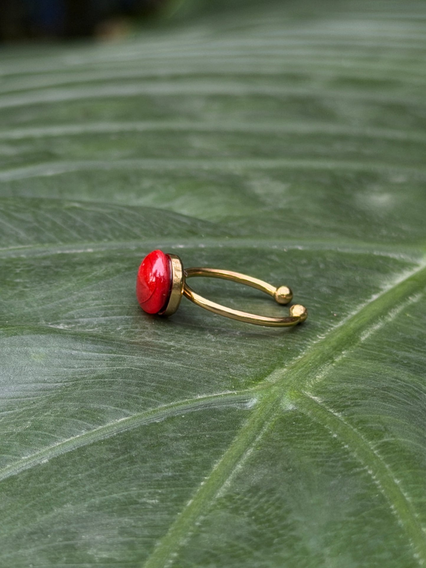 Manjaadikkuru Ring ❤️ | Red lucky seed Ring |(Adjustable /stainless steel / resin)