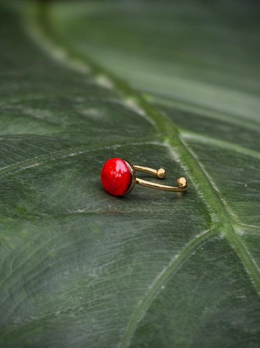 Manjaadikkuru Ring ❤️ | Red lucky seed Ring |(Adjustable /stainless steel / resin)
