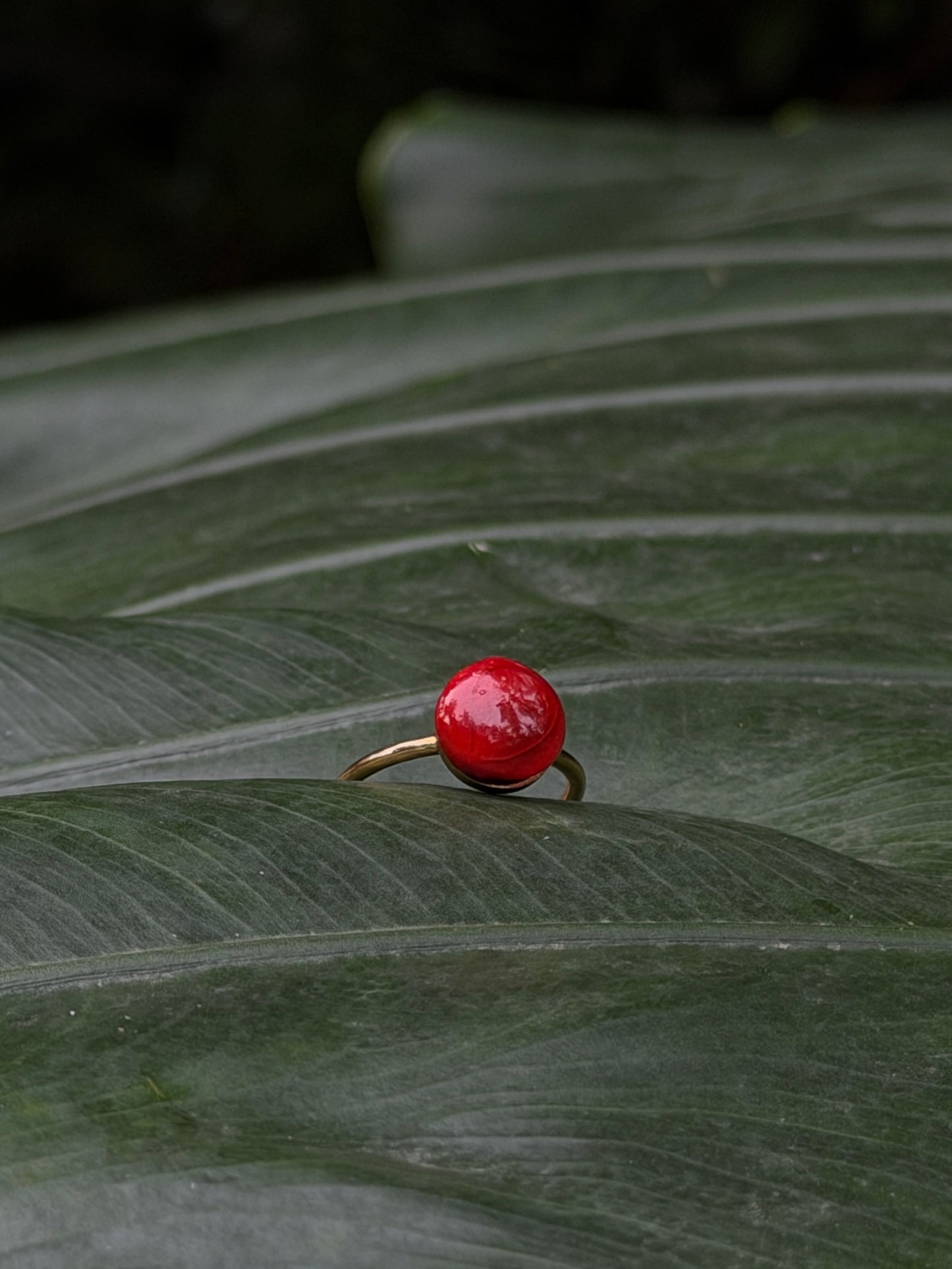 Manjaadikkuru Ring ❤️ | Red lucky seed Ring |(Adjustable /stainless steel / resin)