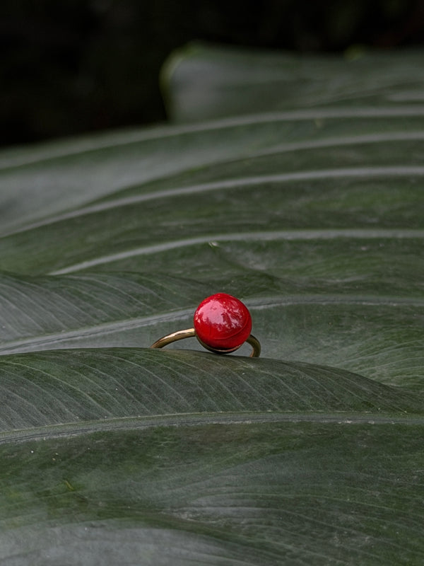 Manjaadikkuru Ring ❤️ | Red lucky seed Ring |(Adjustable /stainless steel / resin)